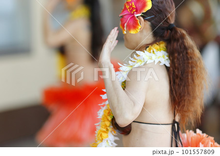 タヒチアンダンスを踊る女性の手 101557809