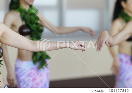 タヒチアンダンスを踊る女性の手 101557816