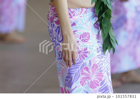 タヒチアンダンスを踊る女性の手 タヒチアンダンスを踊る女性の手 101557831