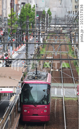 都電荒川線 都電荒川線 101557836