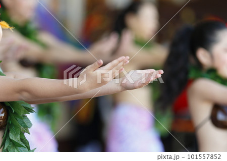 タヒチアンダンスを踊る女性の手 101557852