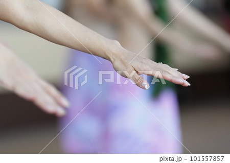 タヒチアンダンスを踊る女性の手 101557857