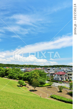 爽やかな夏の青空と街の風景 爽やかな夏の青空と街の風景 101558114