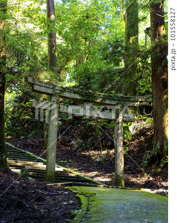山の中に建つ石造りの鳥居 山の中に建つ石造りの鳥居 101558127