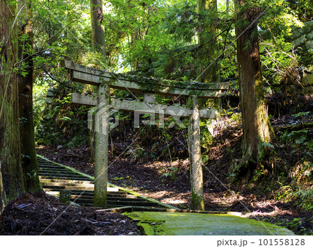 山の中に建つ石造りの鳥居 山の中に建つ石造りの鳥居 101558128