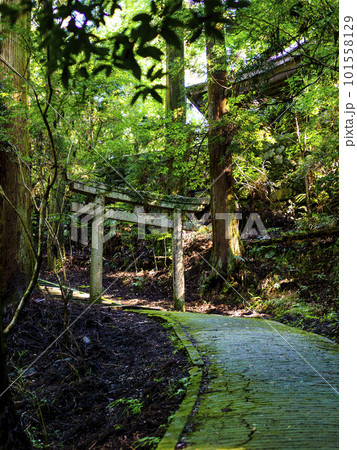 山の中に建つ石造りの鳥居 山の中に建つ石造りの鳥居 101558129