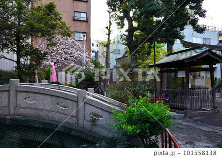 江島杉山神社　東京都墨田区千歳 101558138