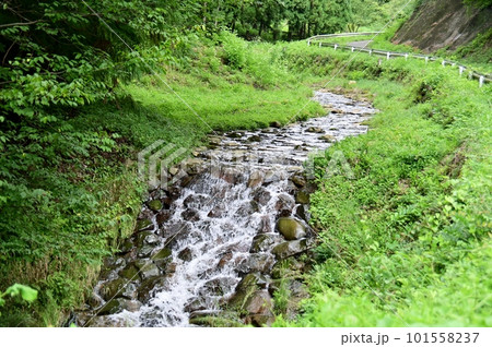 荏沢川石積堰堤の流れ 101558237