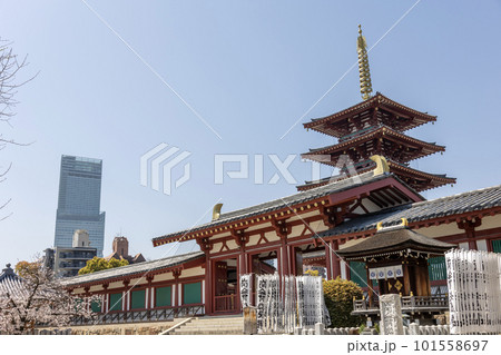 大阪・四天王寺「番匠堂と五重塔」（2023年4月1日撮影） 101558697