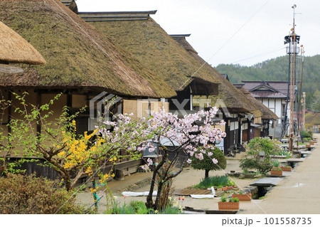 日本の原風景(茅葺屋根の町並み) 福島県下郷町大内宿 日本の原風景(茅葺屋根の町並み) 福島県下郷町大内宿 101558735