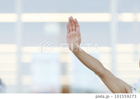 フラダンスを踊る女性の手 101559273