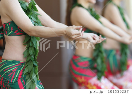 フラダンスを踊る女性の手 フラダンスを踊る女性の手 101559287