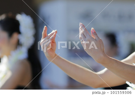 フラダンスを踊る女性の手 101559306