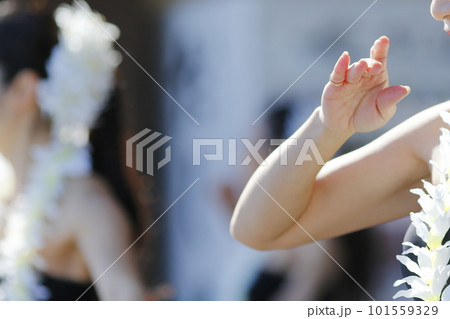 フラダンスを踊る女性の手 フラダンスを踊る女性の手 101559329