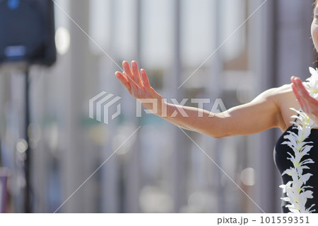 フラダンスを踊る女性の手 101559351