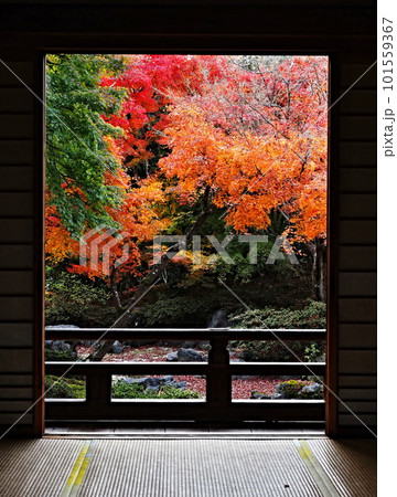 宝筐院の紅葉 101559367