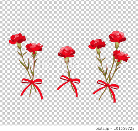 紅色康乃馨花束佈置套裝 101559728