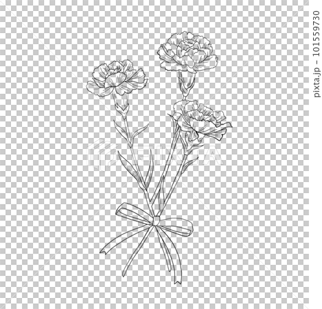 カーネーションの花束3輪の手描き線画イラスト 101559730