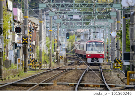 新緑と電車【京急1000形】品川行き快速特急 新緑と電車【京急1000形】品川行き快速特急 101560246