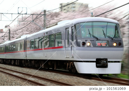 桜並木と西武新宿線：特急小江戸号（新製車両／LED編成） 101561069