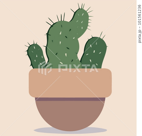small cactus plant in a vase 101561236
