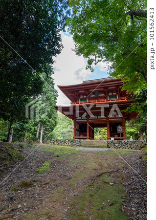 京都　君尾山・光明寺 101562413