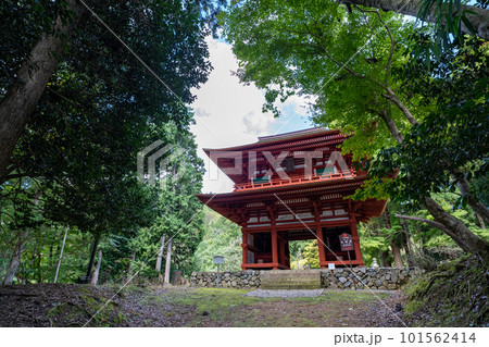 京都　君尾山・光明寺 101562414