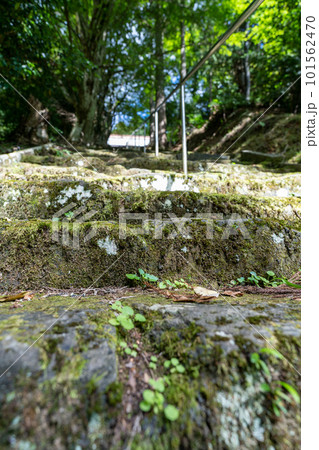 京都 君尾山・光明寺 京都 君尾山・光明寺 101562470