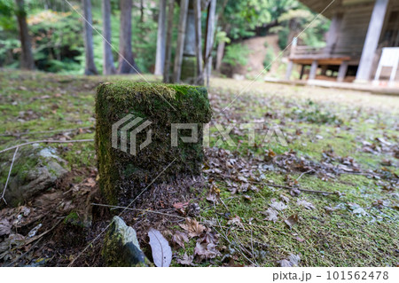 京都 君尾山・光明寺 京都 君尾山・光明寺 101562478