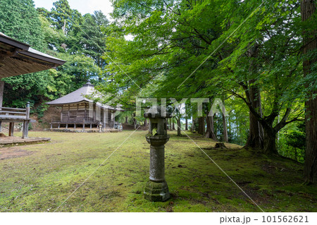 京都　君尾山・光明寺 101562621