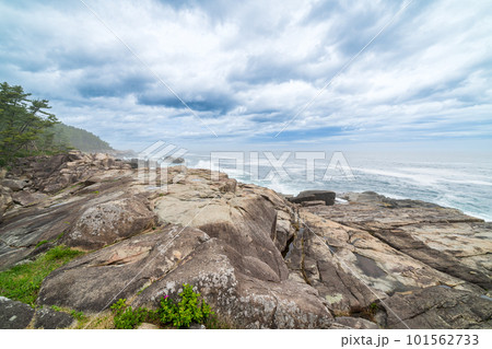 「岩手県」巨大な岩と海岸線が連なる侍浜の風景 101562733
