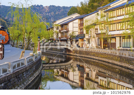 早朝の城崎温泉の町並み　風情ある枝垂れ柳 101562976