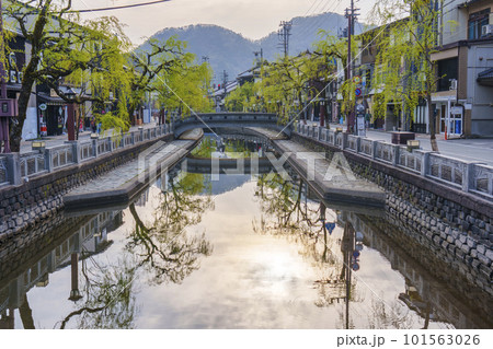 早朝の城崎温泉の町並み　風情ある枝垂れ柳　水面に映る朝日 101563026