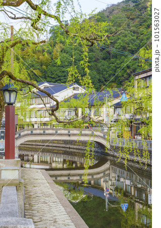 早朝の城崎温泉の町並み 風情ある枝垂れ柳 早朝の城崎温泉の町並み 風情ある枝垂れ柳 101563027