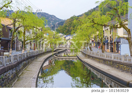早朝の城崎温泉の町並み 風情ある枝垂れ柳 早朝の城崎温泉の町並み 風情ある枝垂れ柳 101563029
