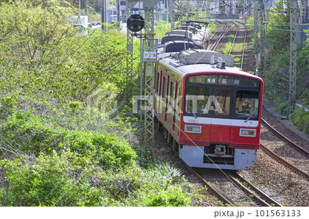 新緑と電車【京急1500形】品川行き普通列車 101563133