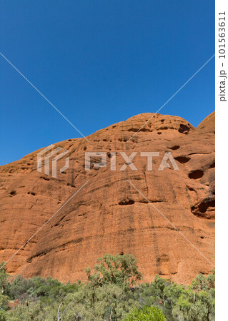 オーストラリア中央部オルガ岩群の風の谷 101563611