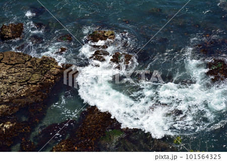 小名浜・三崎公園へ行きました #91 小名浜・三崎公園へ行きました #91 101564325