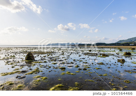 沖縄県　石垣島の風景 101564466