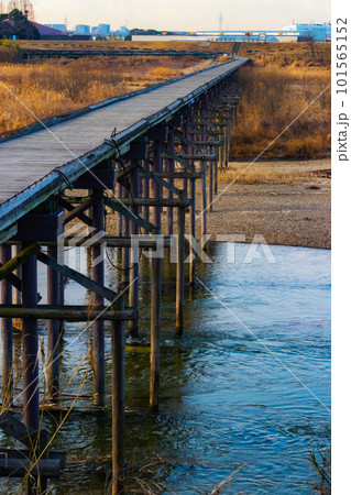 冬の木津川流れ橋 101565152