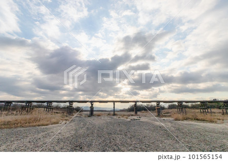 冬の木津川流れ橋 101565154