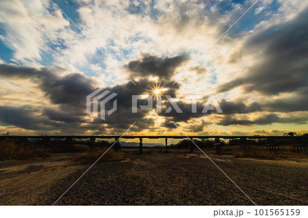 冬の木津川流れ橋 101565159