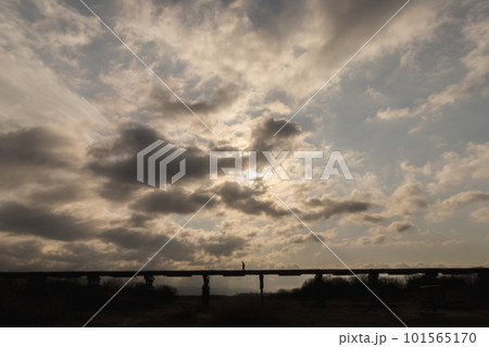 冬の木津川流れ橋 101565170