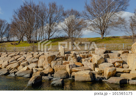 淀川河口の公園風景 101565175