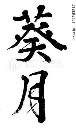 筆文字 葵月のイラスト素材 [101565217] - PIXTA
