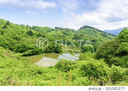 田植え前 宮城県 沢尻の棚田 田植え前 宮城県 沢尻の棚田 101565277