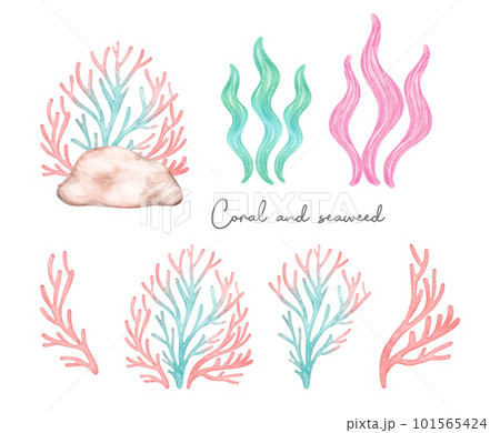 Cute colorful coral reef and seaweed pastel watercolor collection, cartoon children hand painting illustration 101565424