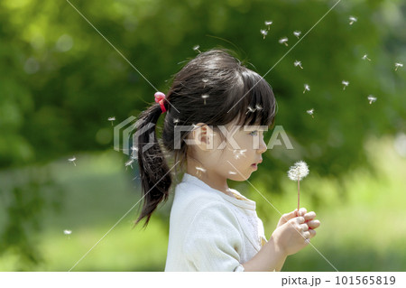 新緑の公園でタンポポを持つ女の子 101565819