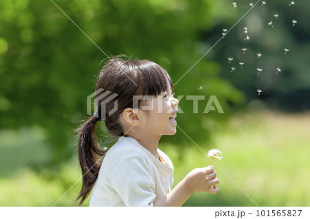 新緑の公園でタンポポを持つ女の子 101565827