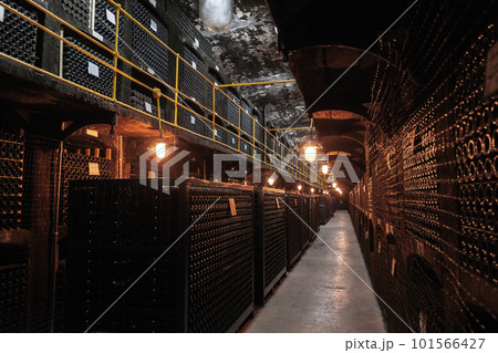 Winery interior perspective view, dark corridor Winery interior perspective view, dark corridor 101566427